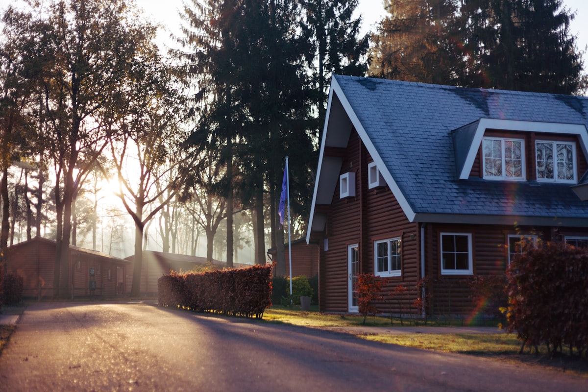 Tree-lined street in a traditional neighbourhood